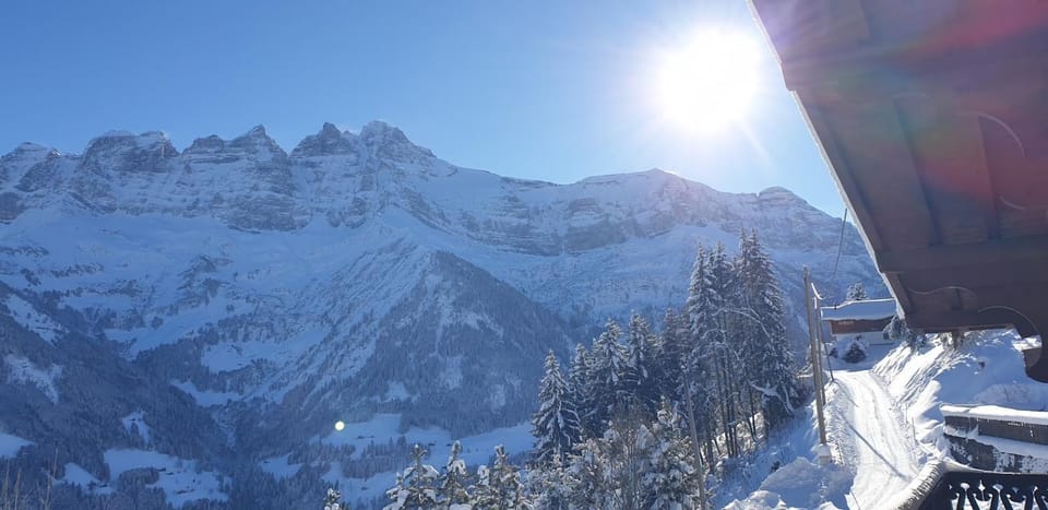 Winter, Skiing, Mountain view