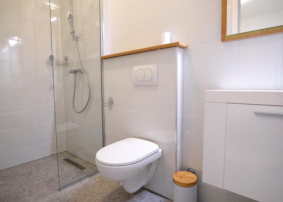 Shower, Toilet, Bathroom, towels