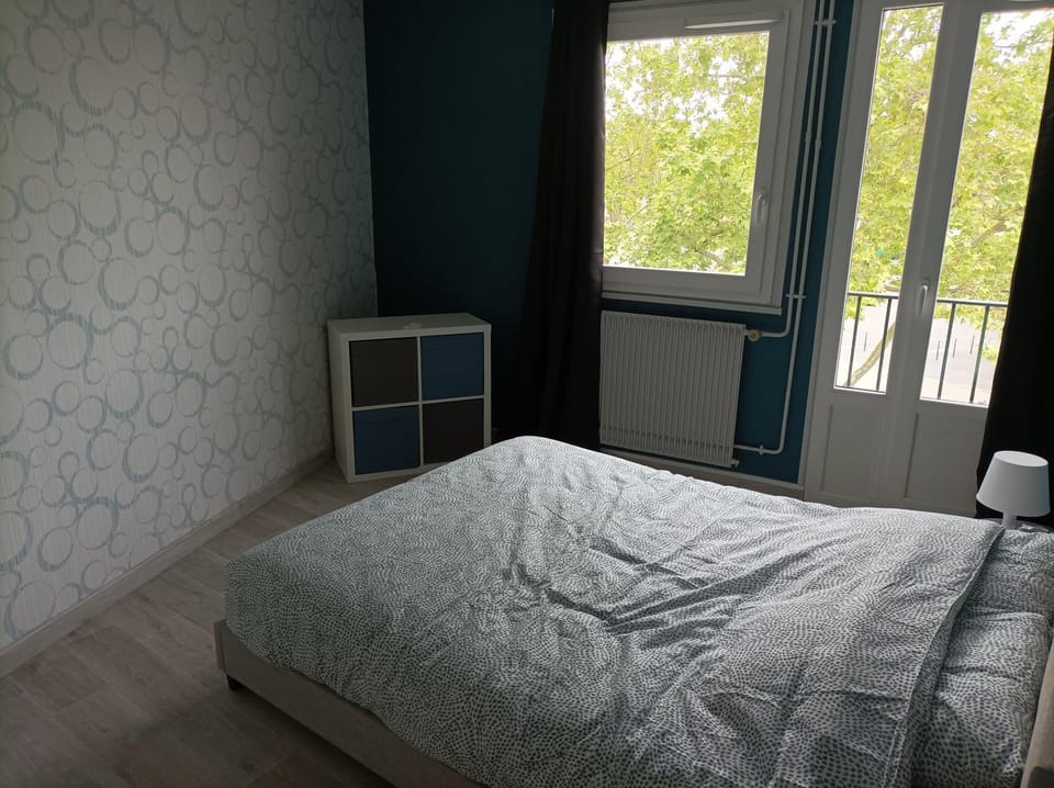 Joli appartement type 5 en centre ville Apartment in Centre-Val de Loire
