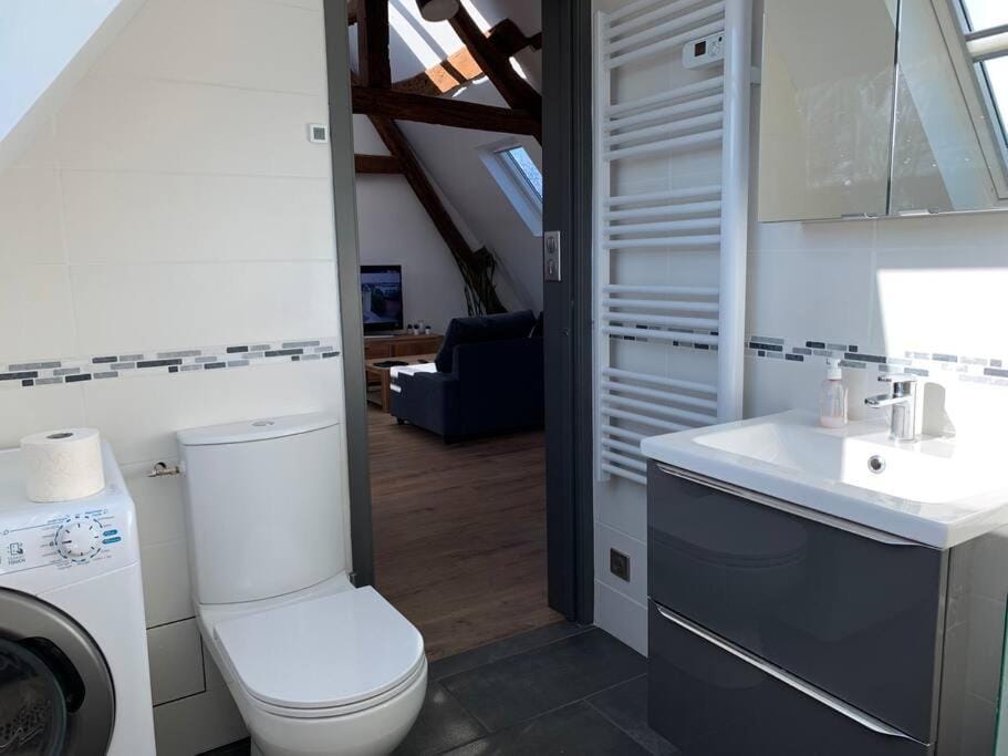 Toilet, Bathroom, washing machine