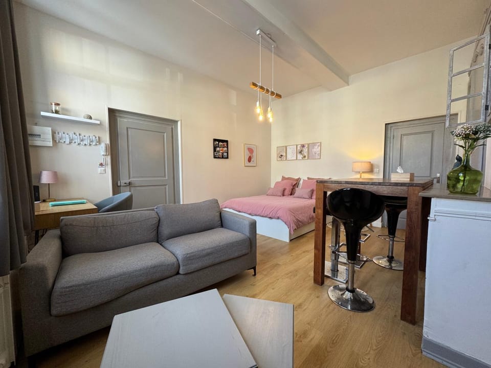 Studio Papillon en plein cœur de ville Apartment in Hauts-de-France