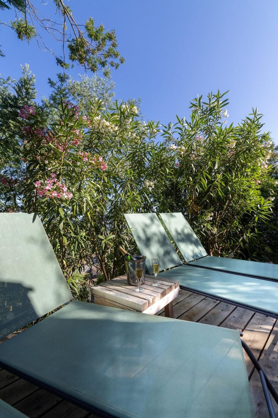 Garden, sunbed