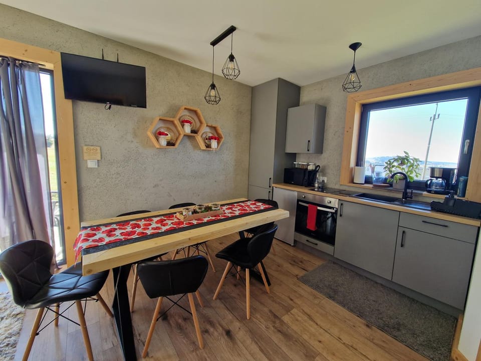Kitchen or kitchenette, oven, stove
