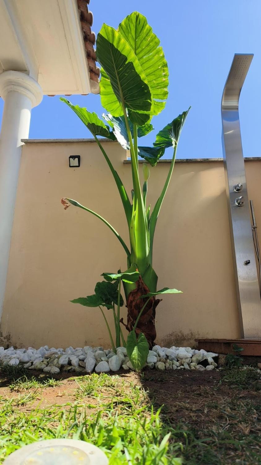 Relaxroombeach House in Anzio