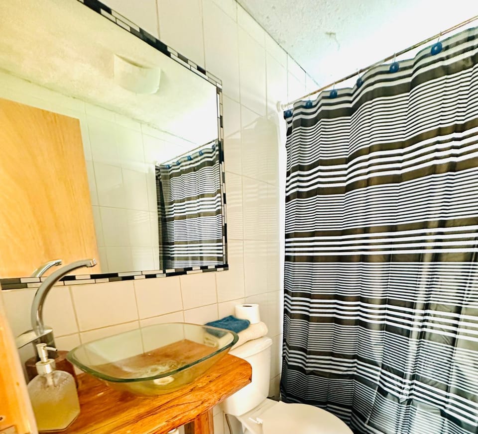 Cabañas buchupureo Apartment in Maule