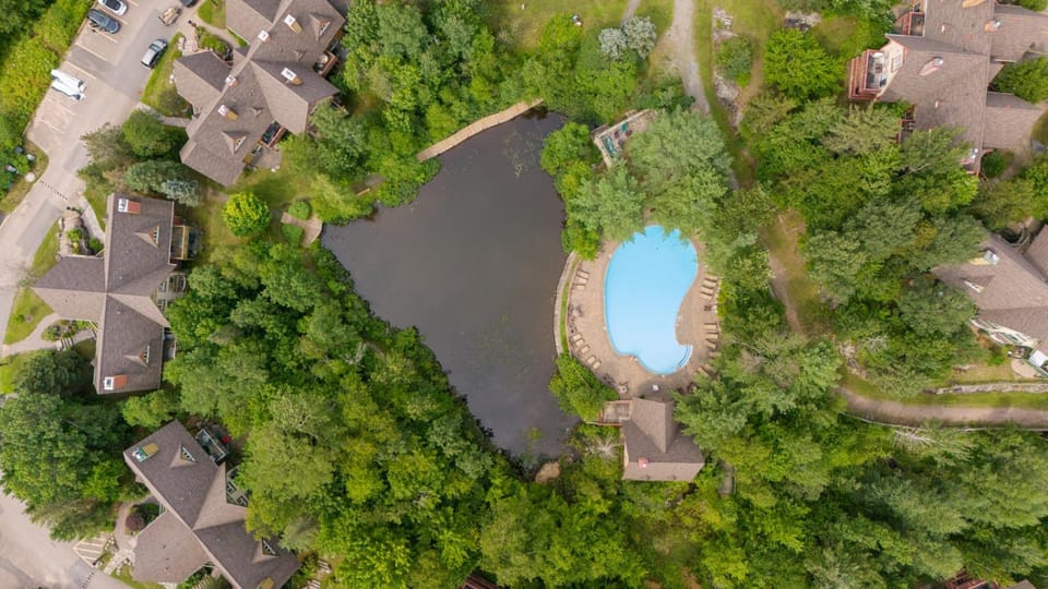 Bird's eye view, Swimming pool