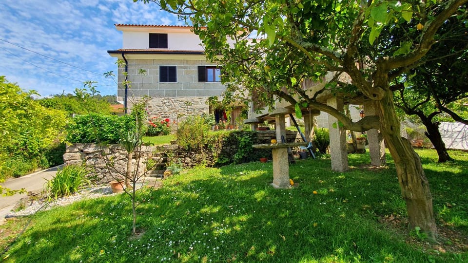 Property building, Garden, Garden view