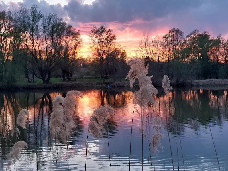 ARK Village Liberland Campground/ 
RV Resort in Vojvodina
