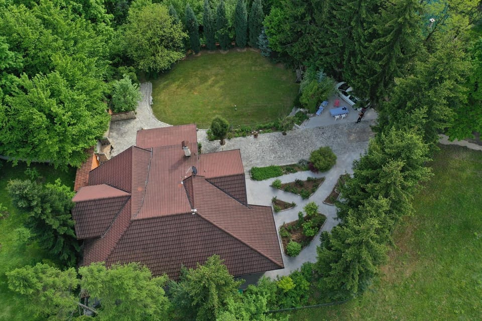 Property building, Neighbourhood, Natural landscape, Bird's eye view, Garden