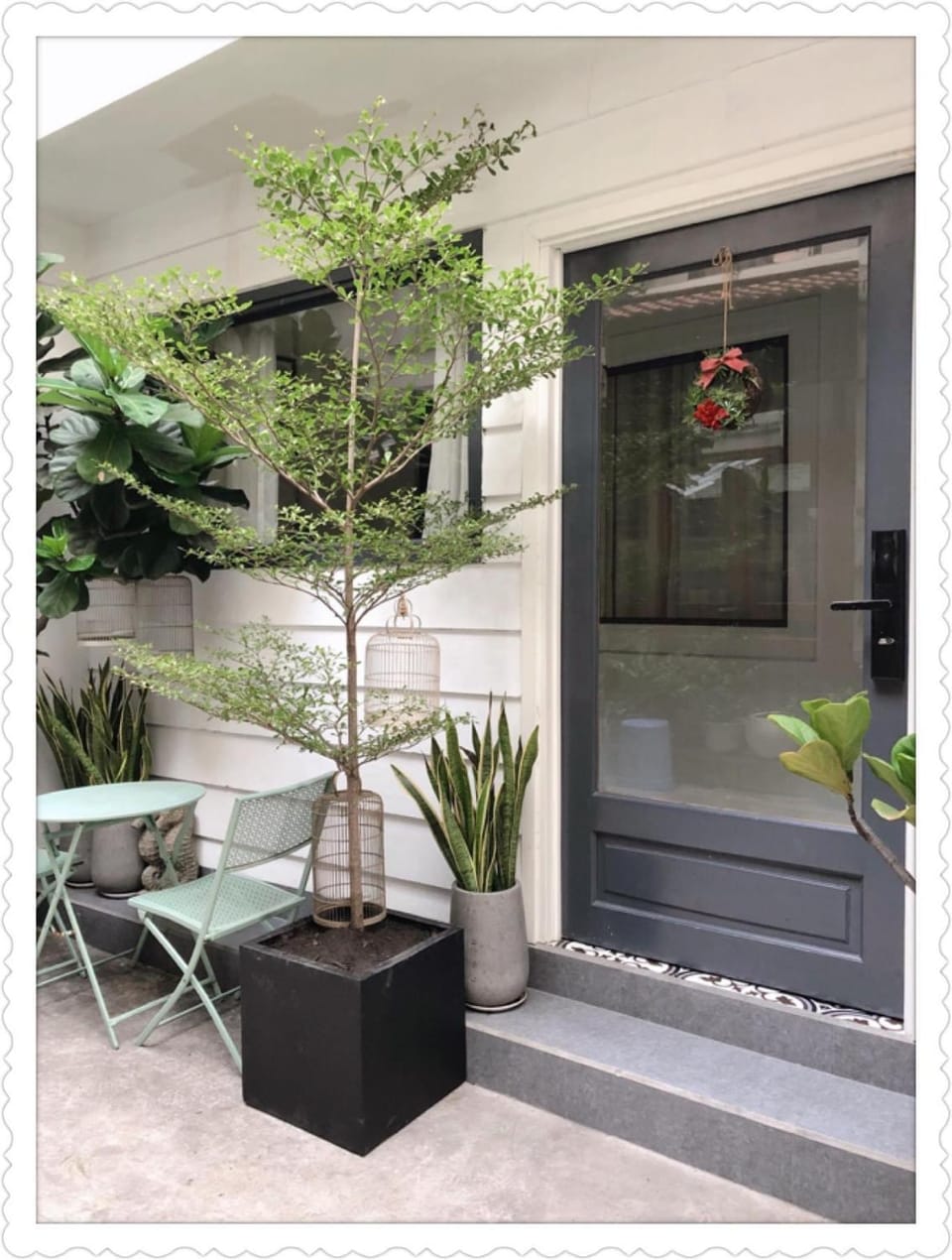 Balcony/Terrace