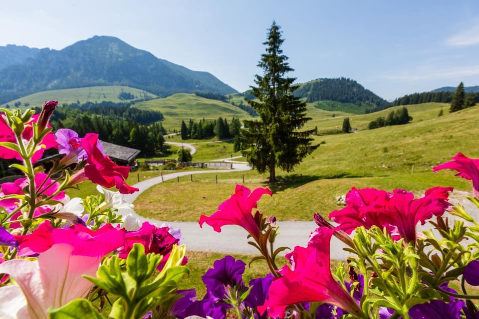 Mountain view