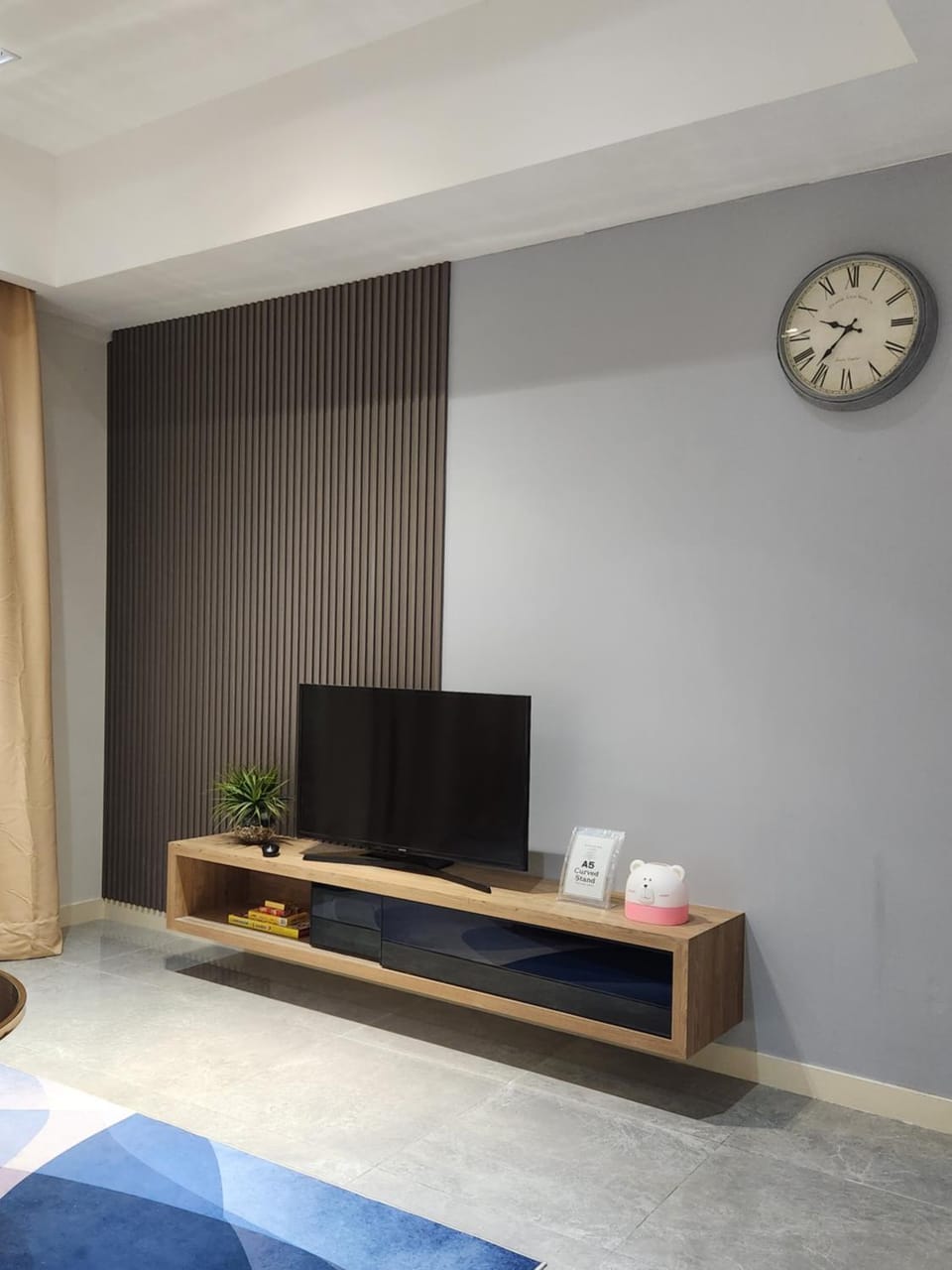 TV and multimedia