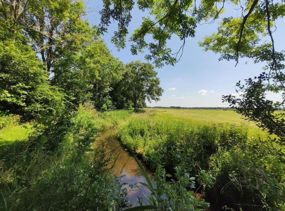 Natural landscape