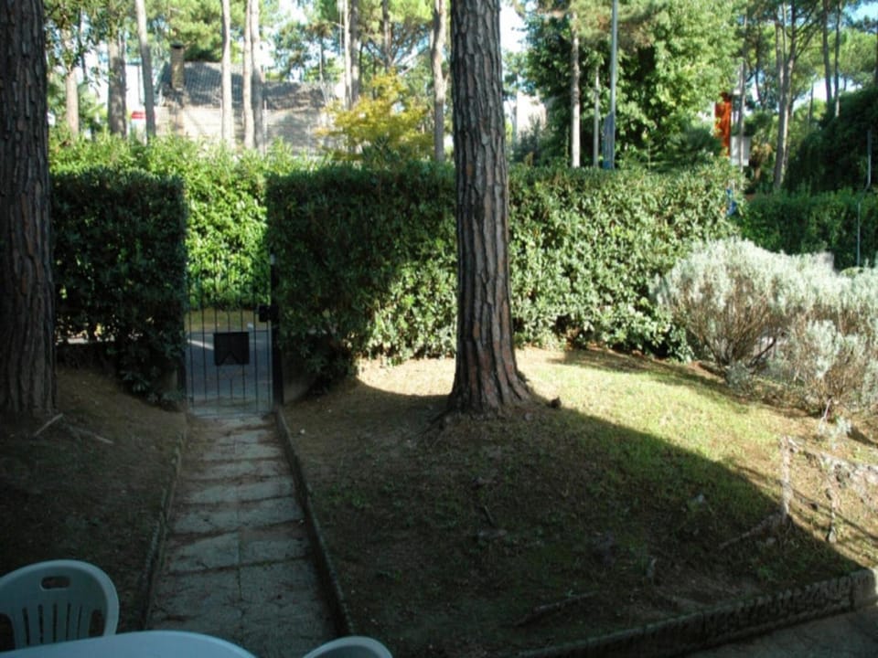 Garden, Garden view