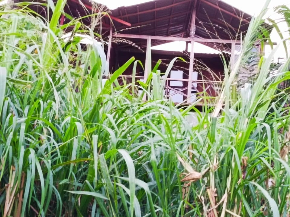 4s Heaven Bed and Breakfast in Uva Province, Sri Lanka