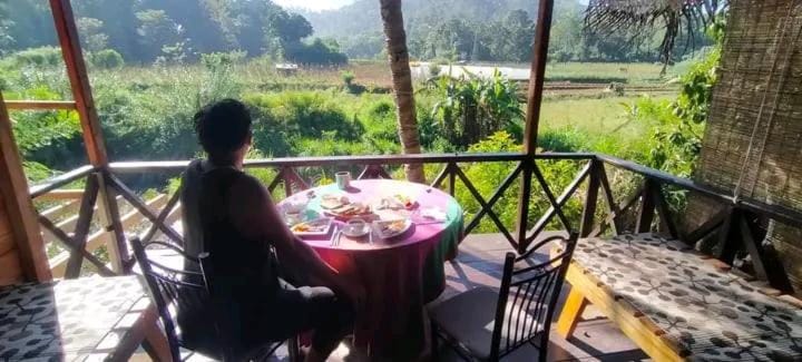 Garden, View (from property/room), Balcony/Terrace, Dining area, Garden view