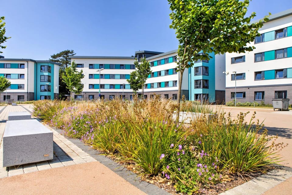 Property building, Day, Garden view