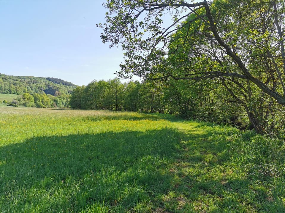 Natural landscape