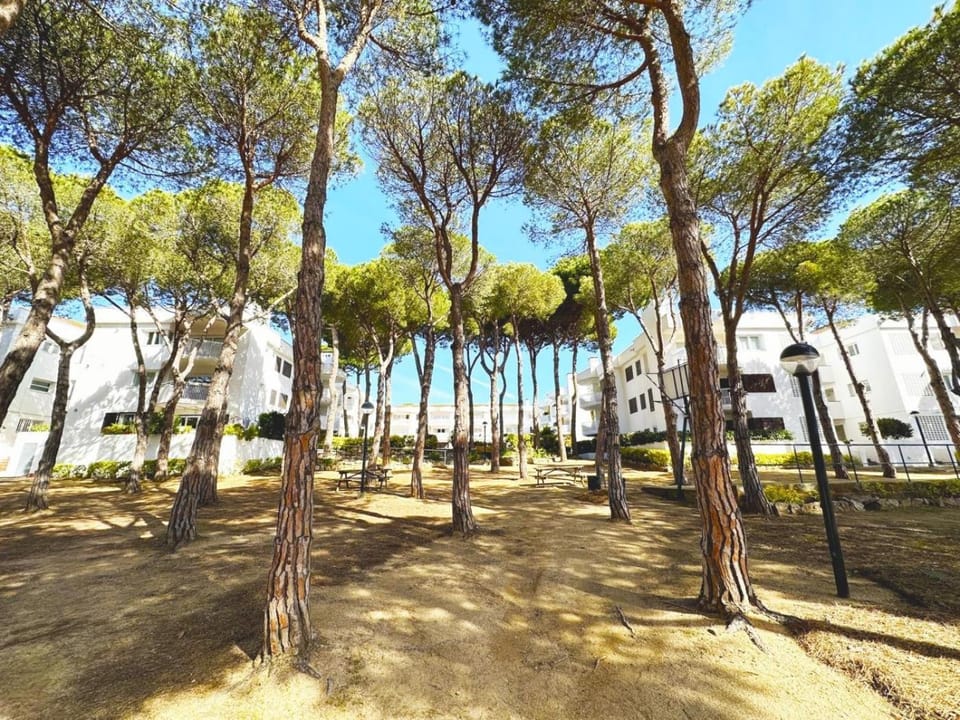 0311 Apartment in Calella de Palafrugell Apartment in Llafranc