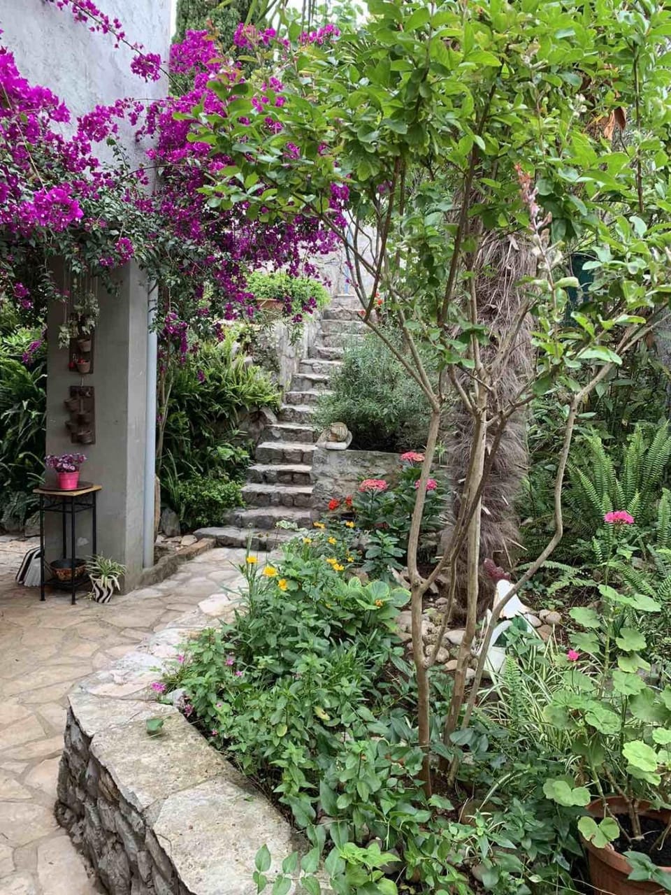 Garden, Garden, Garden view