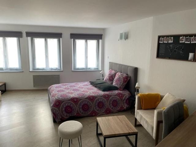 F1 Centre Historique Saint Valbert Apartment in Vosges