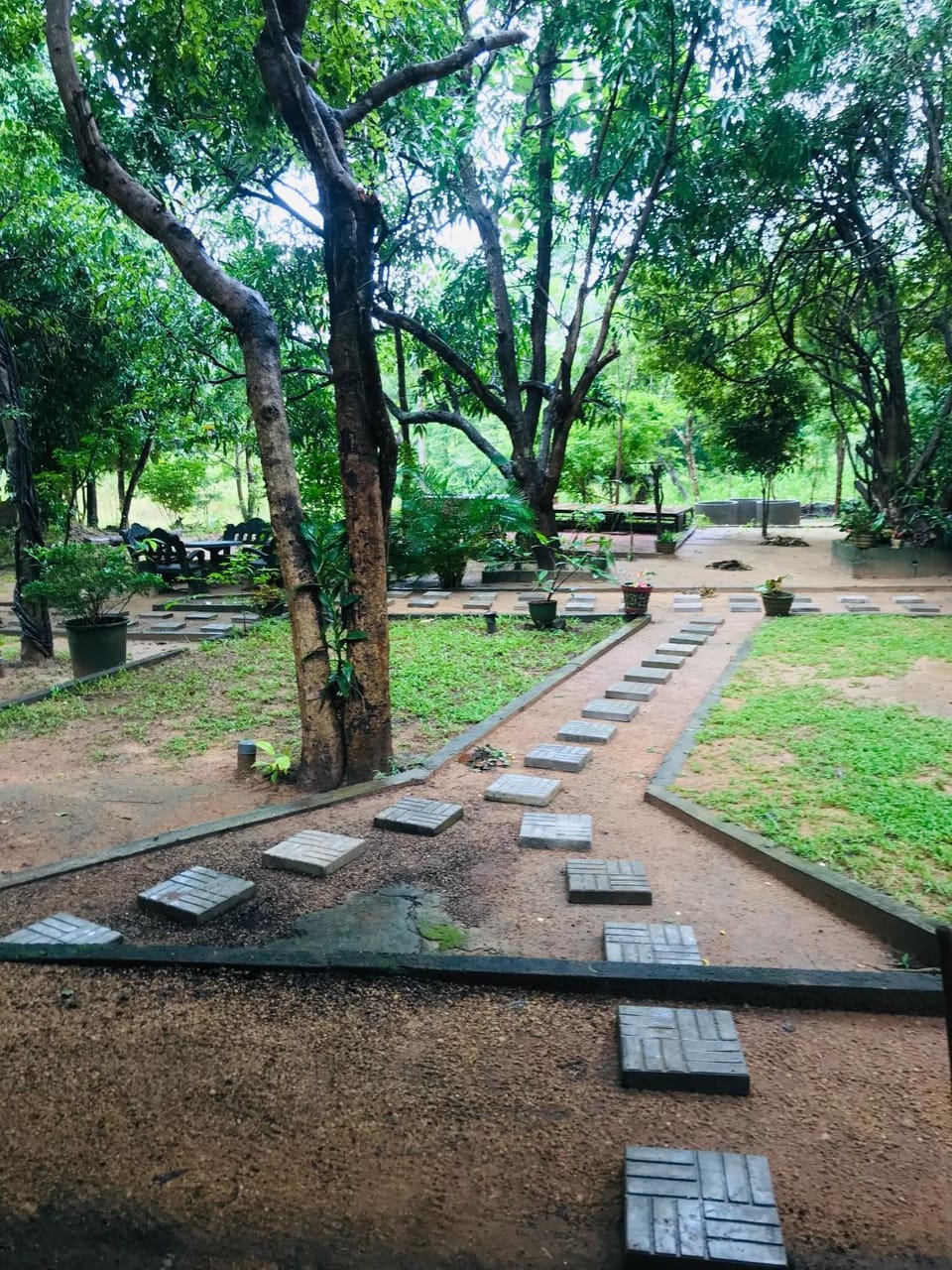 Garden, Garden view