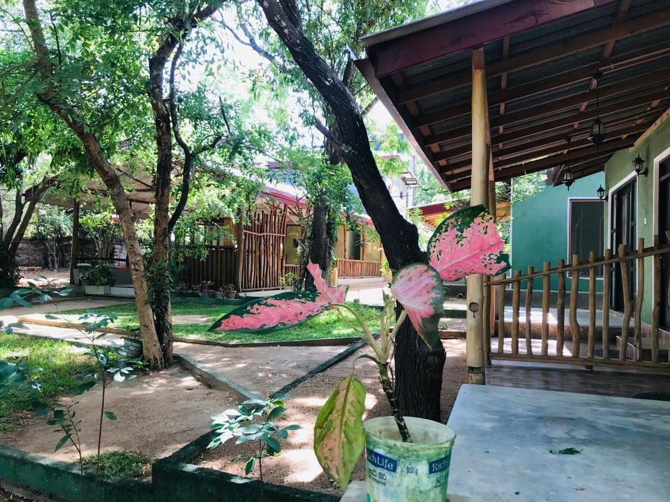 Garden, Garden, Garden view