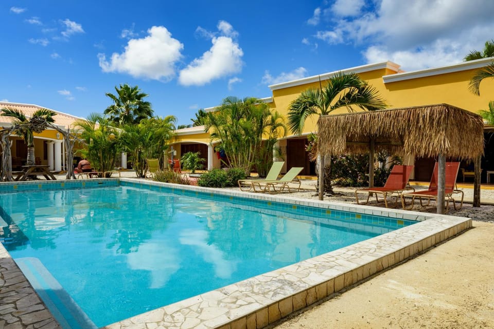 Swimming pool, Swimming pool
