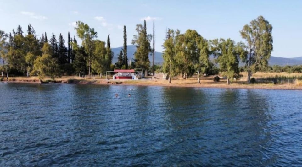 Villa Laguna -house by the beach Apartment in Peloponnese, Western Greece and the Ionian