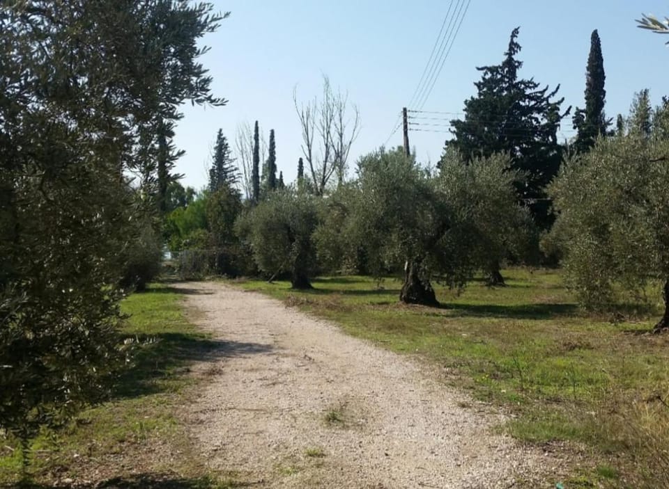 Villa Laguna -house by the beach Apartment in Peloponnese, Western Greece and the Ionian