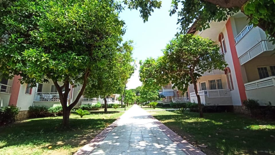 Property building, Spring, Day, Natural landscape, Garden, Hiking, Garden view, Street view