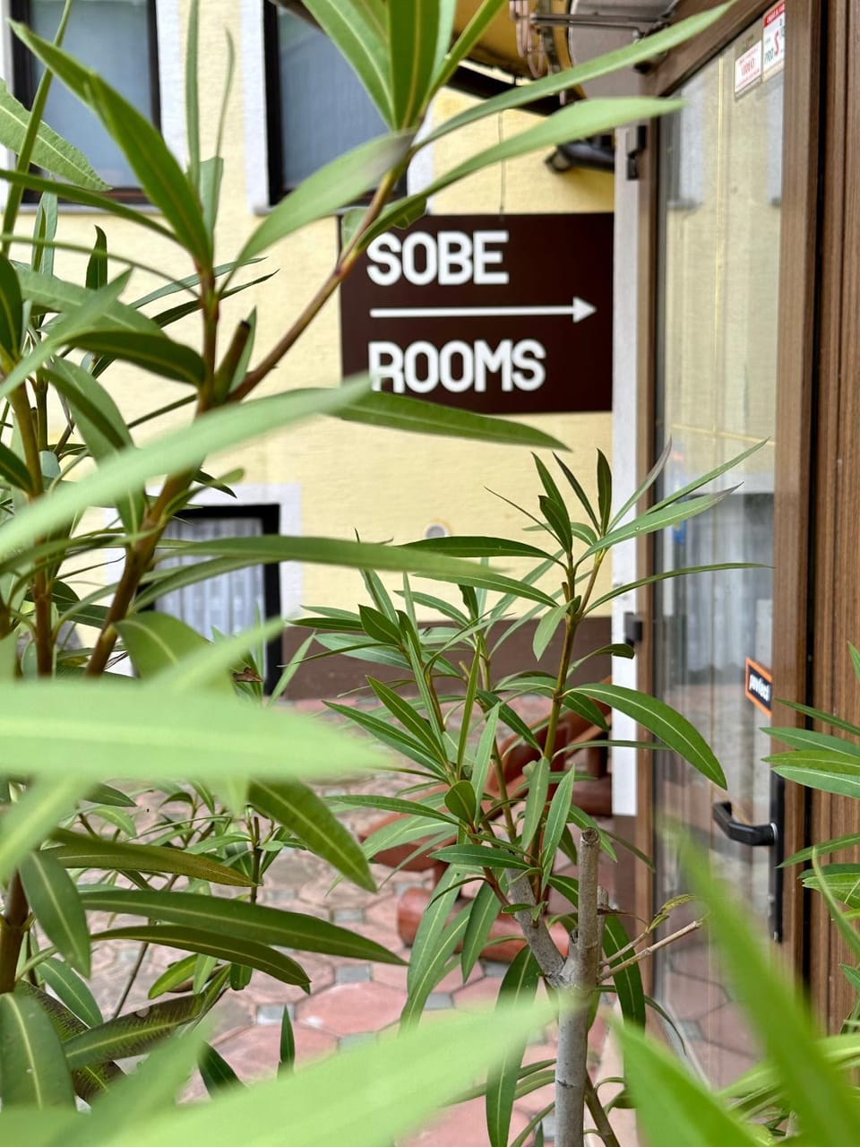 Garden, Text overlay, Garden view, Street view