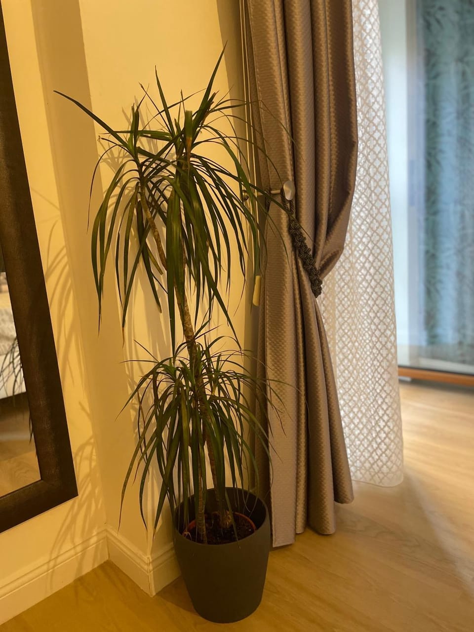 Carducci 83 Bed and Breakfast in Pescara