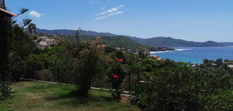 Natural landscape, Garden, Sea view
