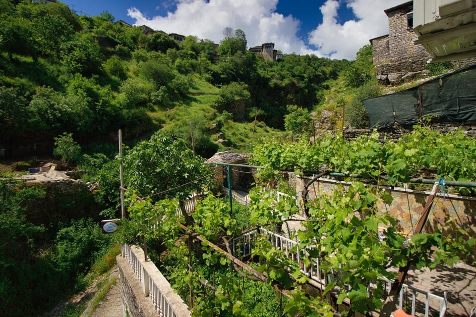 Natural landscape, Garden view