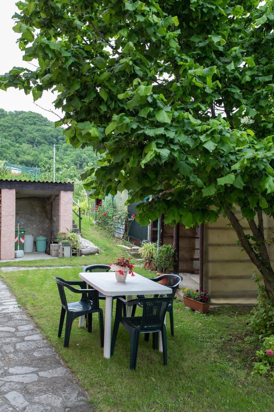 La collina dei nonni - Tarzo Apartment in Trentino-South Tyrol