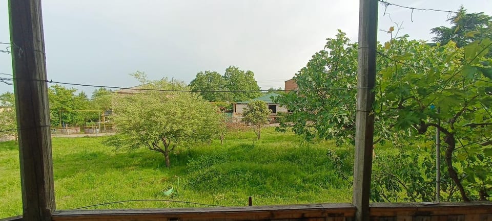 Day, Garden, Garden view