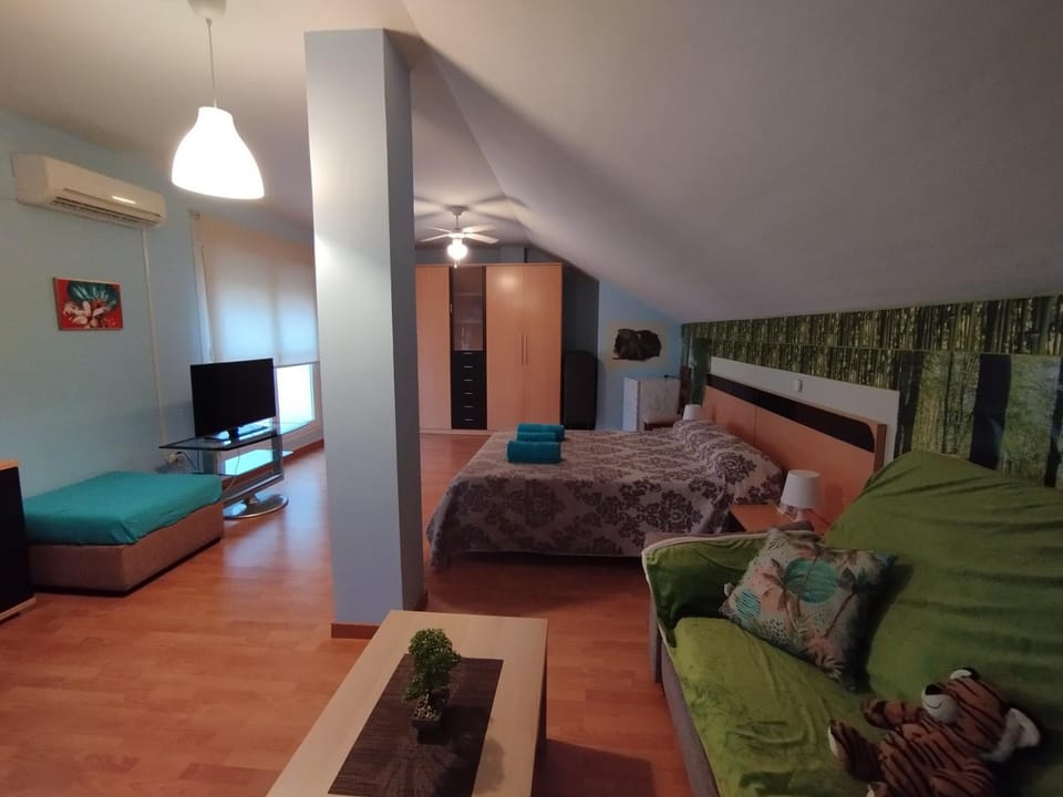 Photo of the whole room