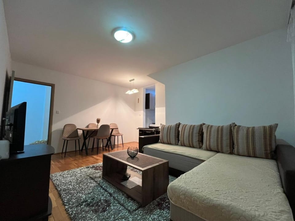 Apartman Šejn Apartment in Zlatibor District, Serbia