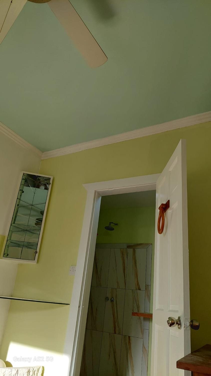 Diamond View Cottages Apartment in Dominica