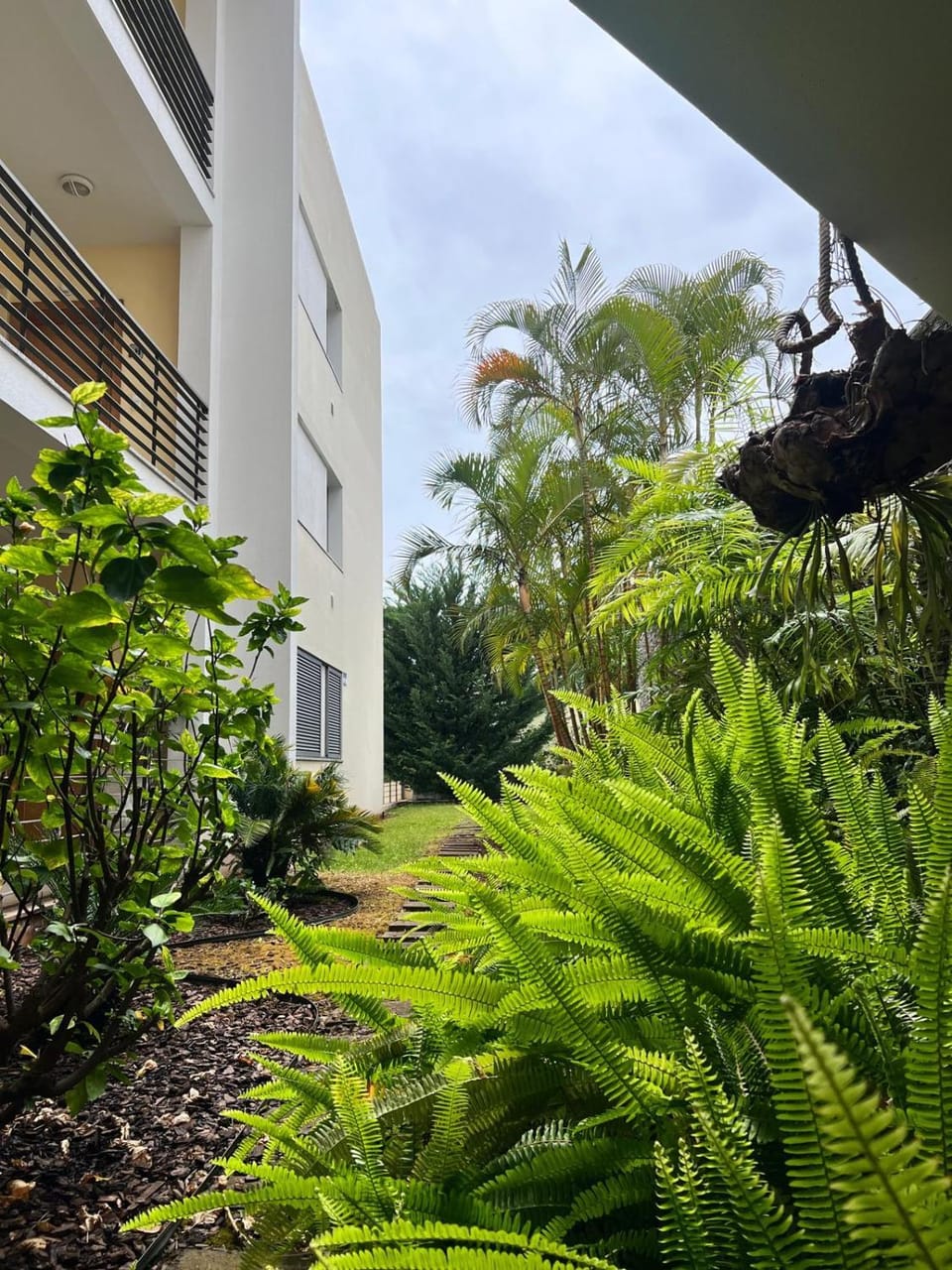 Property building, Garden