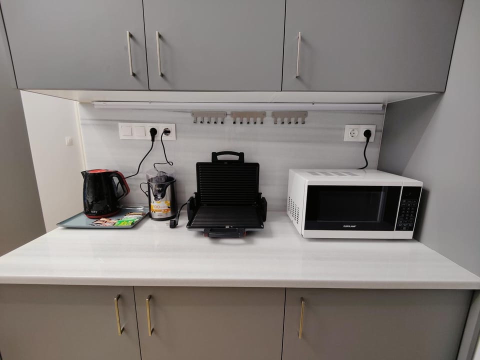 Kitchen or kitchenette, kitchen