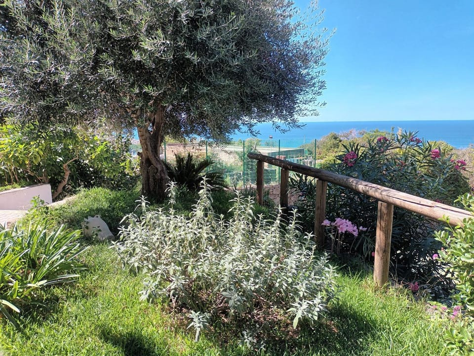 Spring, Day, Natural landscape, Garden, Garden view, Sea view