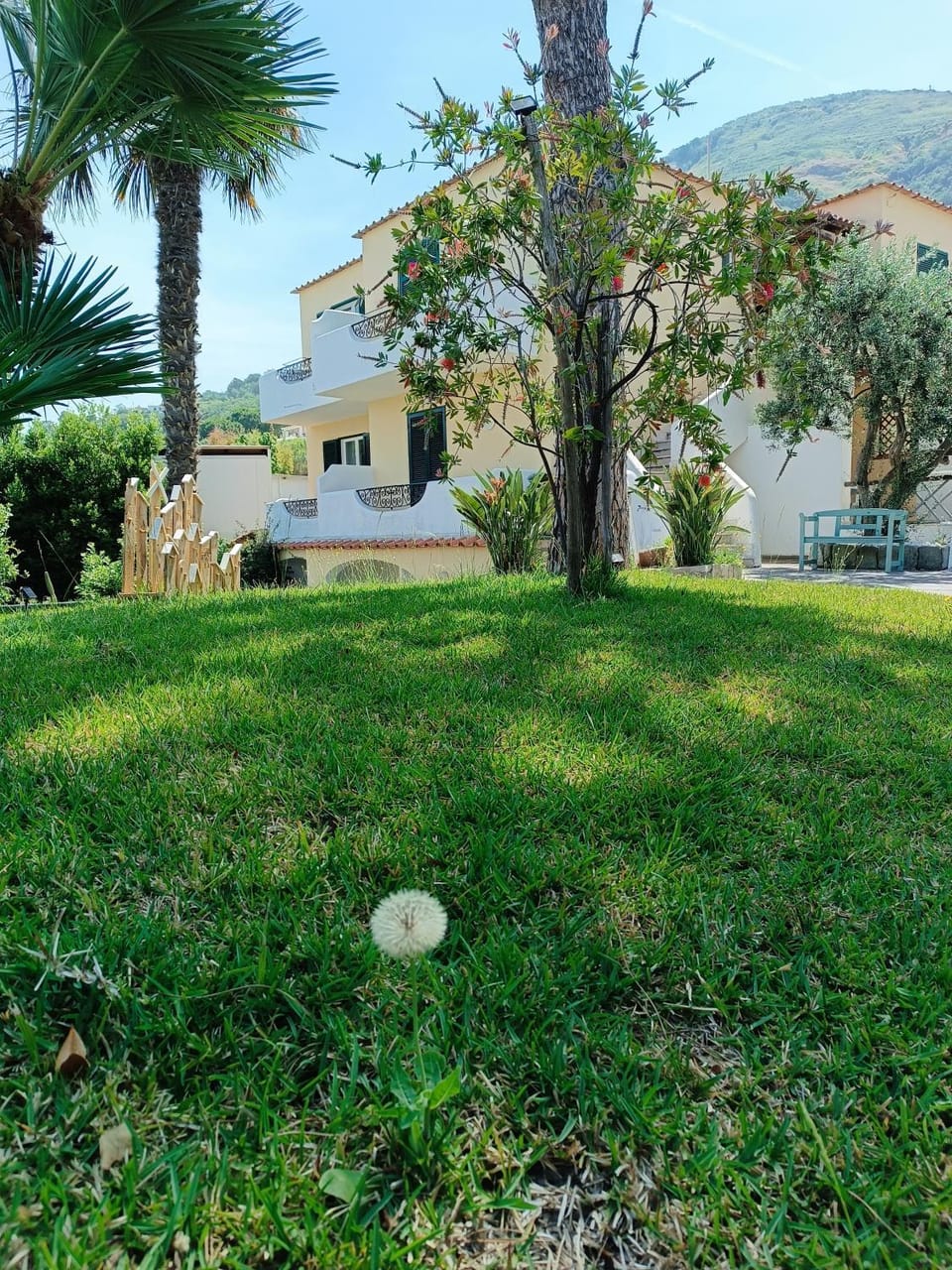 Property building, Spring, Day, Natural landscape, Garden, Garden view