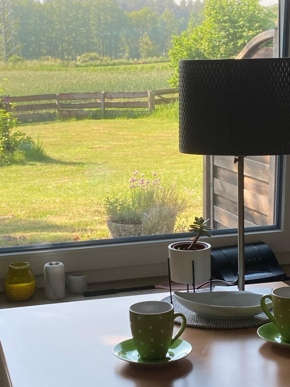 Dining area, Garden view