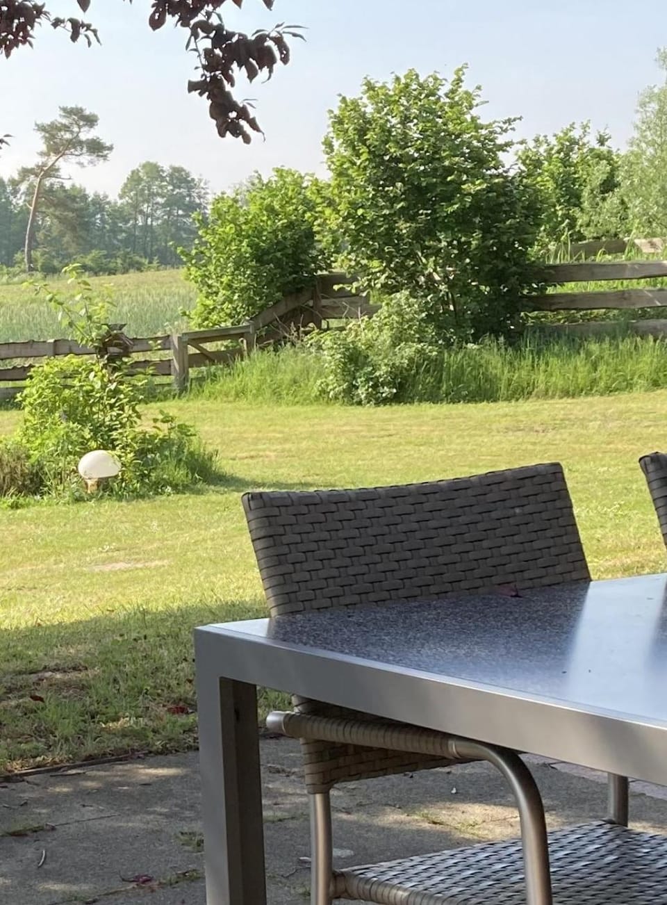 Garden view