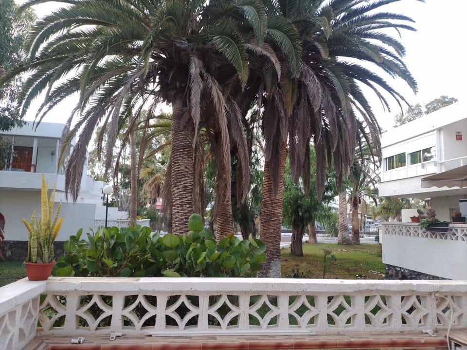 Garden, Garden view, Street view