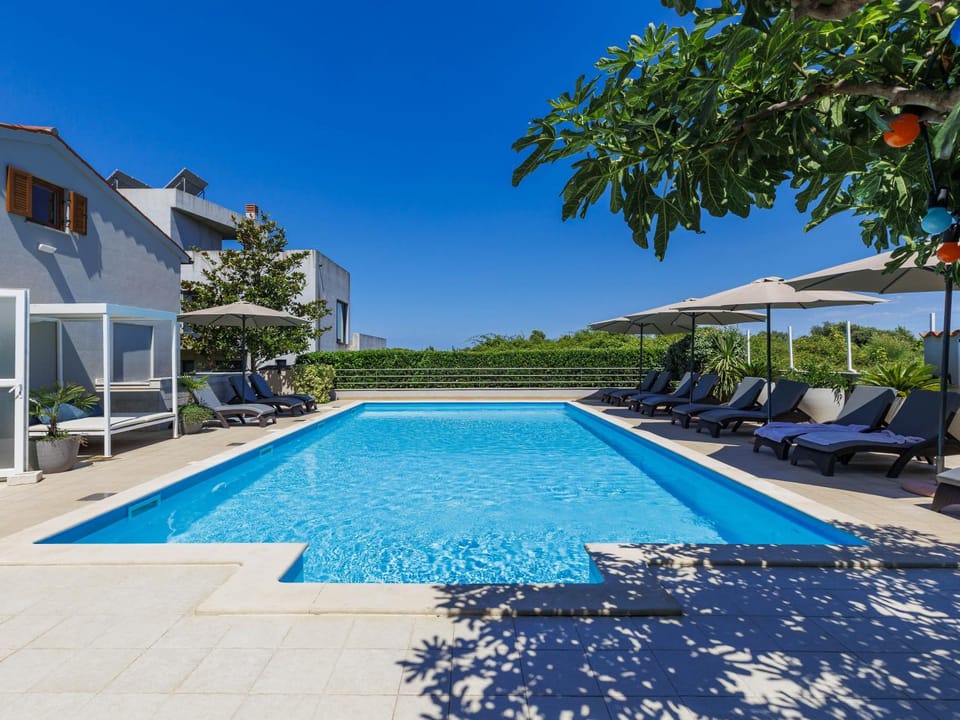 Day, Garden, Swimming pool, sunbed