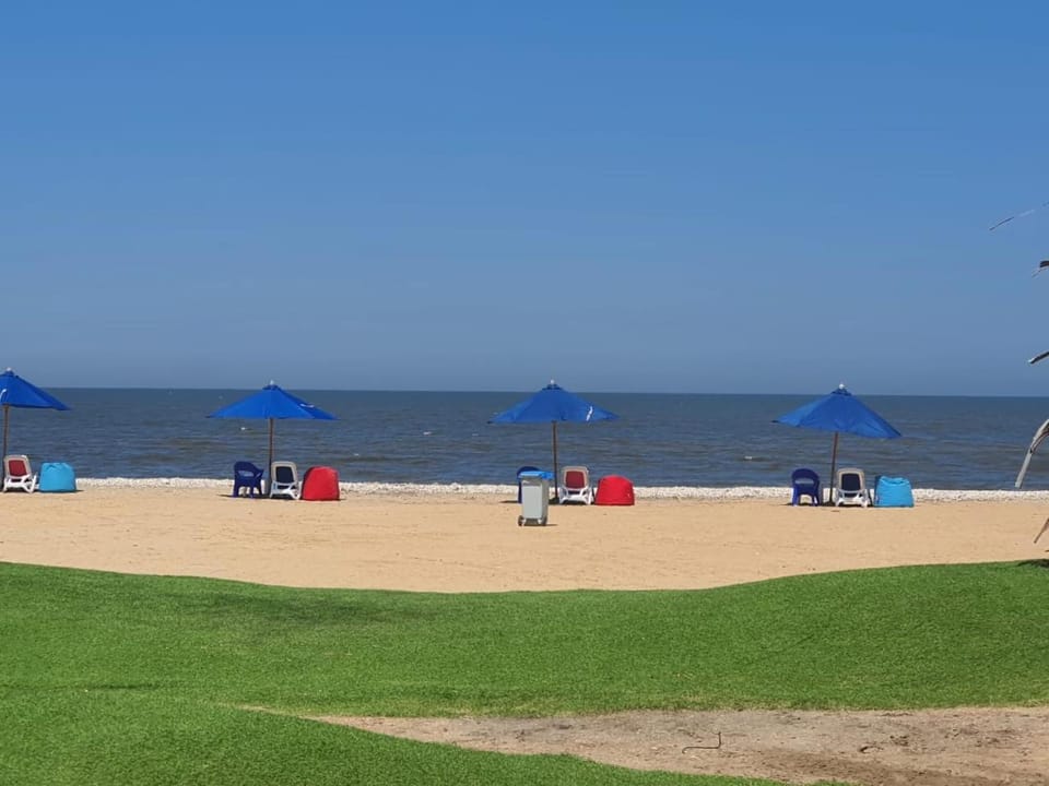 Natural landscape, Beach, sunbed
