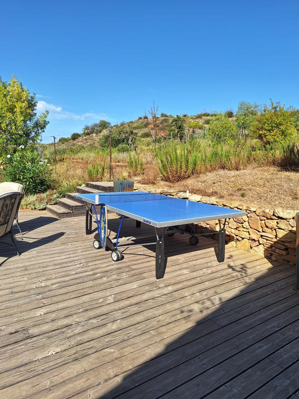 Table tennis